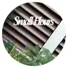Various Artists - Small Hours 005 - EP